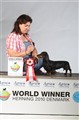 World dog show -10 003.JPG