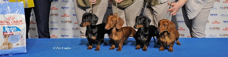 Fädernegårdens Kennel